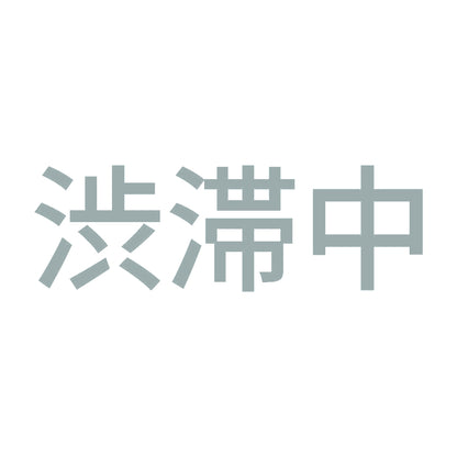 渋滞中