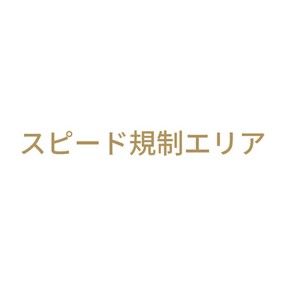 スピード規制エリア