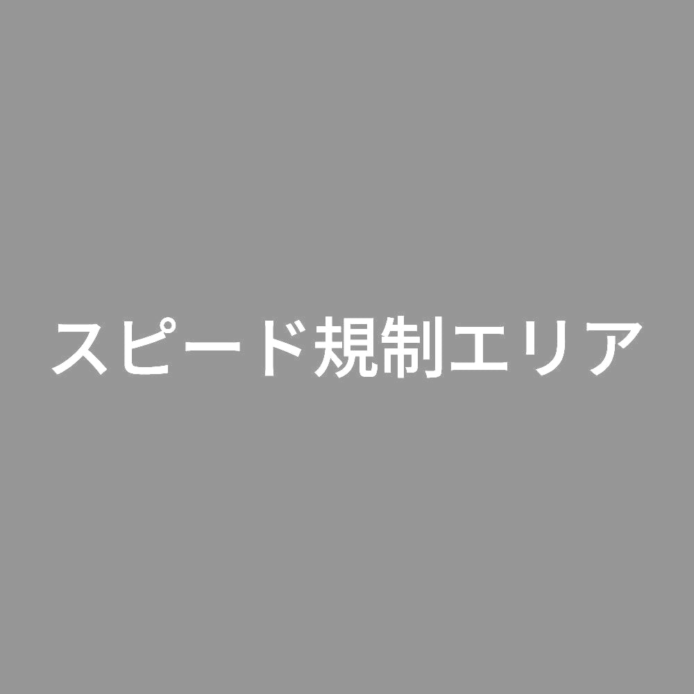 スピード規制エリア