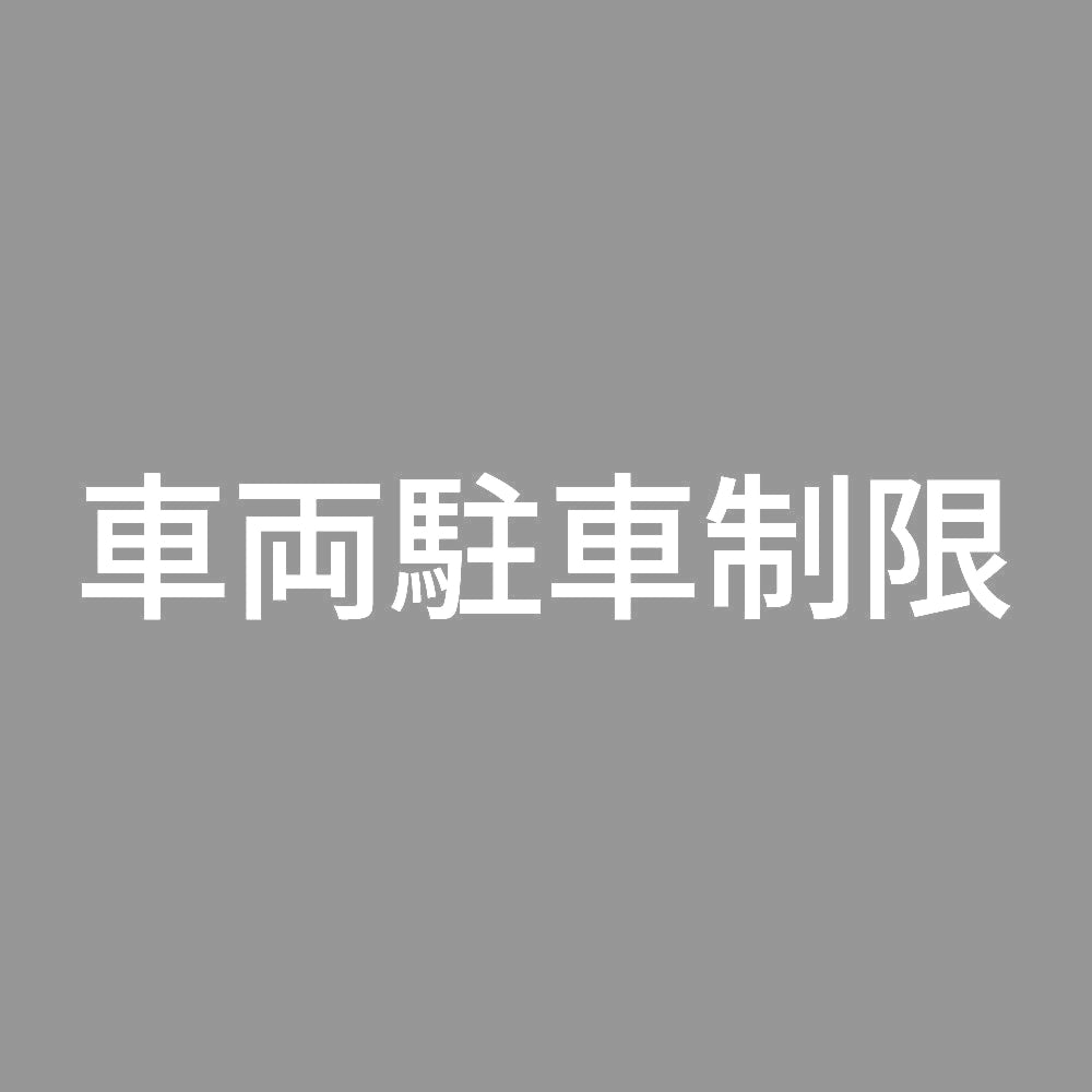 車両駐車制限