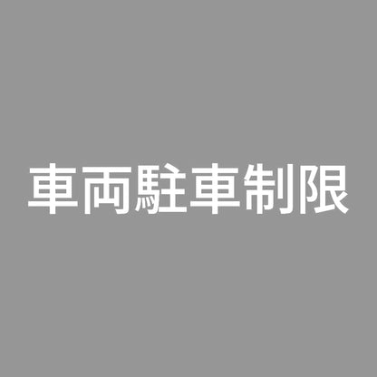 車両駐車制限