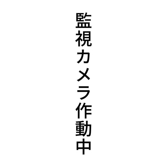 監視カメラ作動中 縦