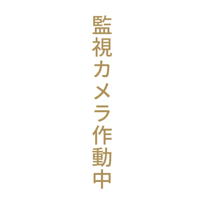 監視カメラ作動中 縦