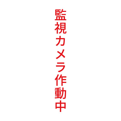 監視カメラ作動中 縦