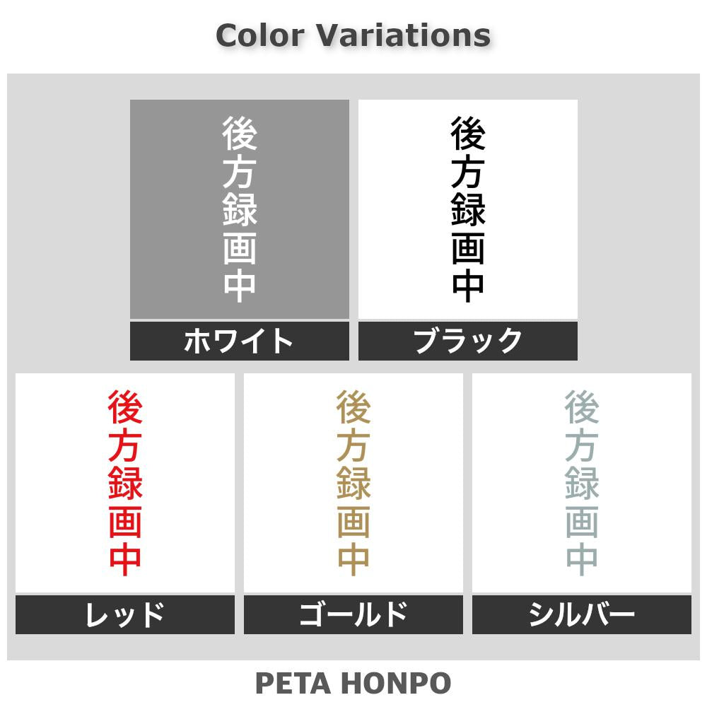 後方録画中 縦
