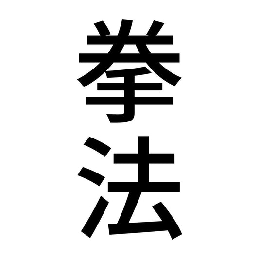 拳法 縦