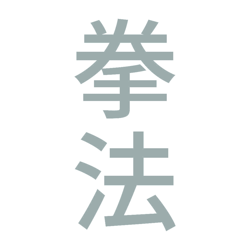 拳法 縦