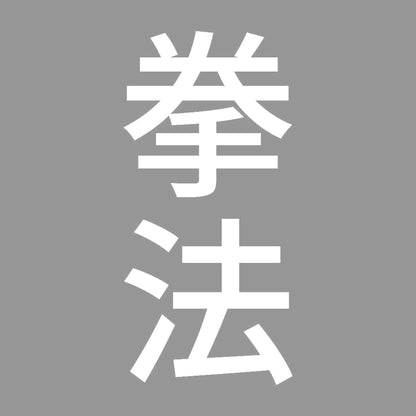 拳法 縦