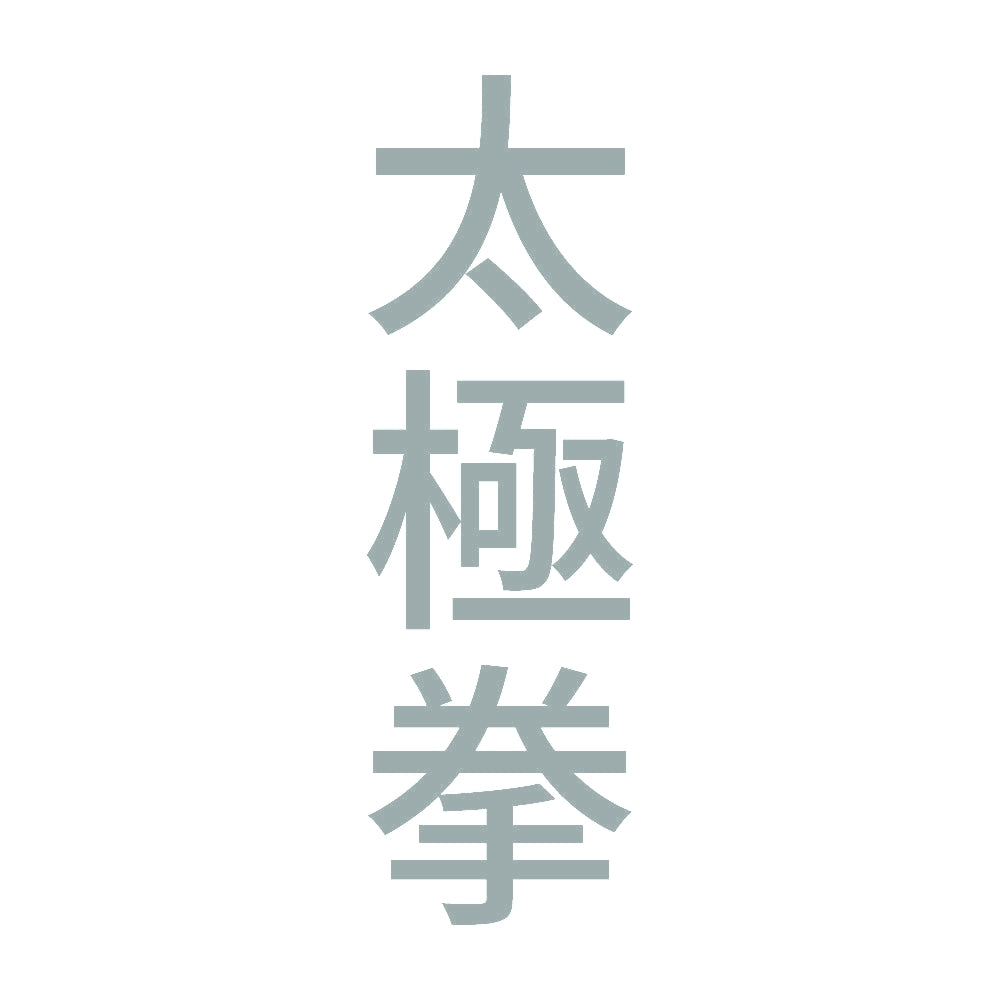 太極拳 縦