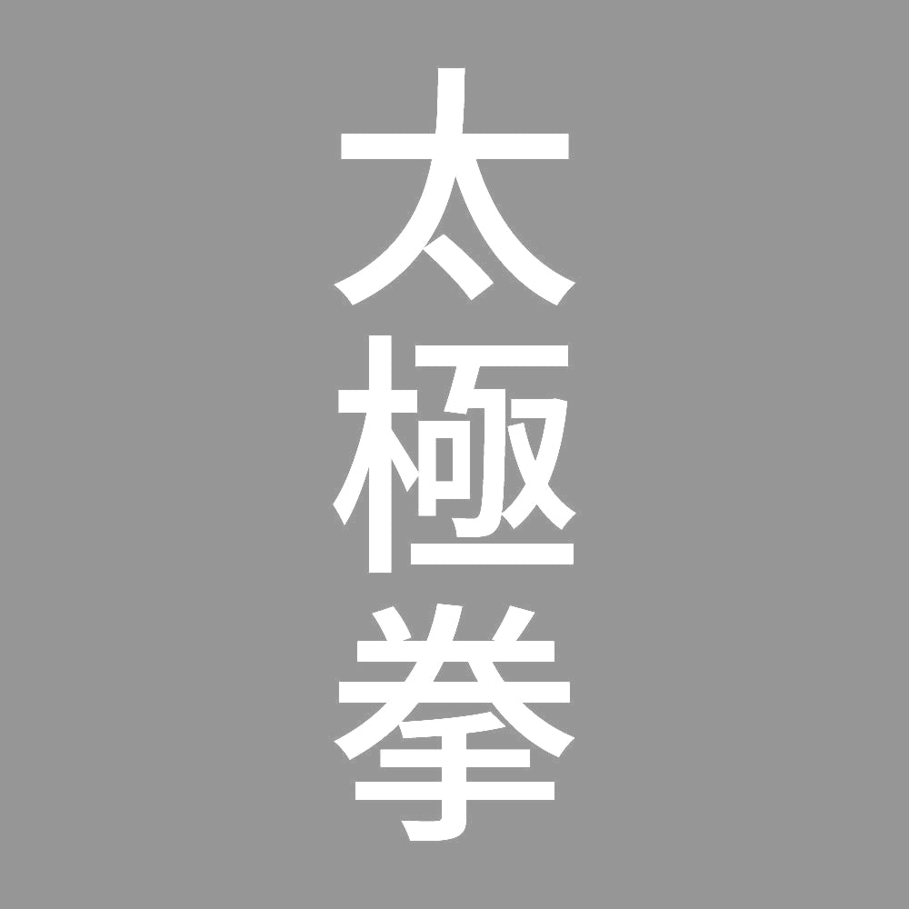 太極拳 縦