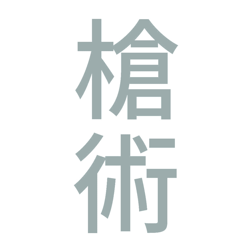 槍術 縦