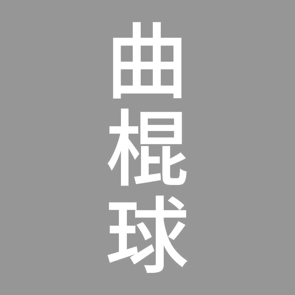 曲棍球 縦