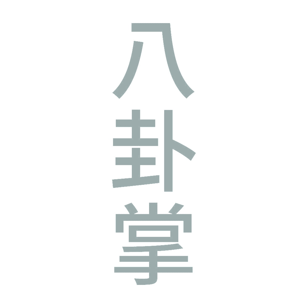 八卦掌 縦
