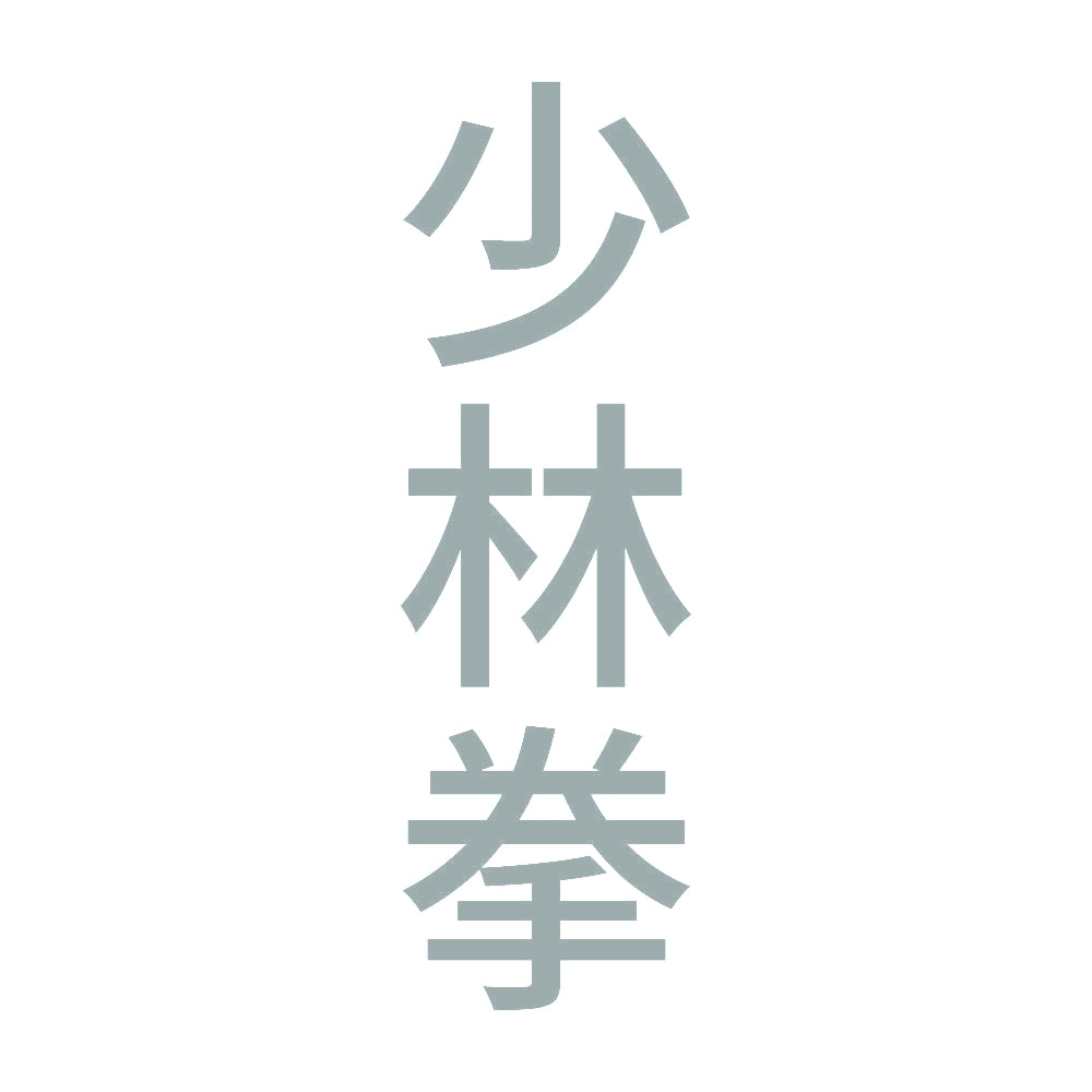 少林拳 縦