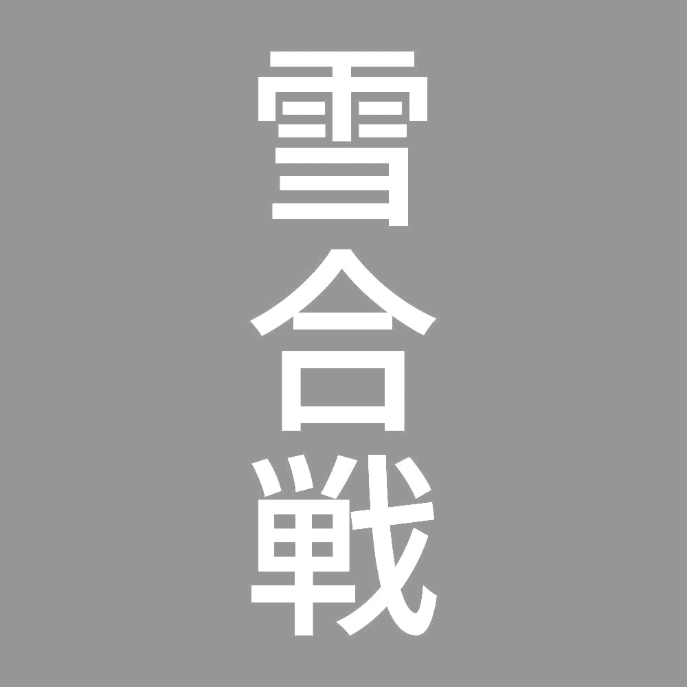 雪合戦 縦