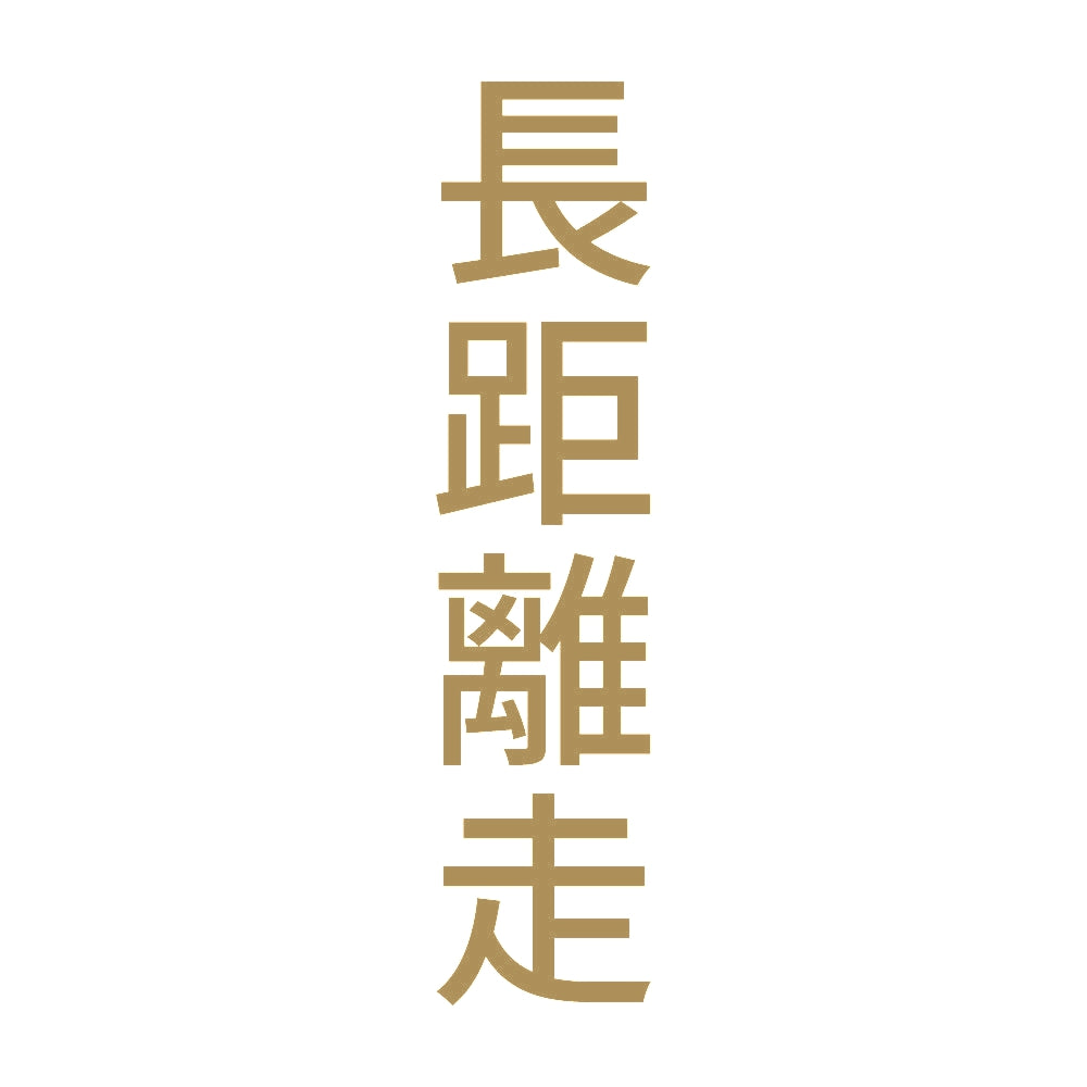 長距離走 縦