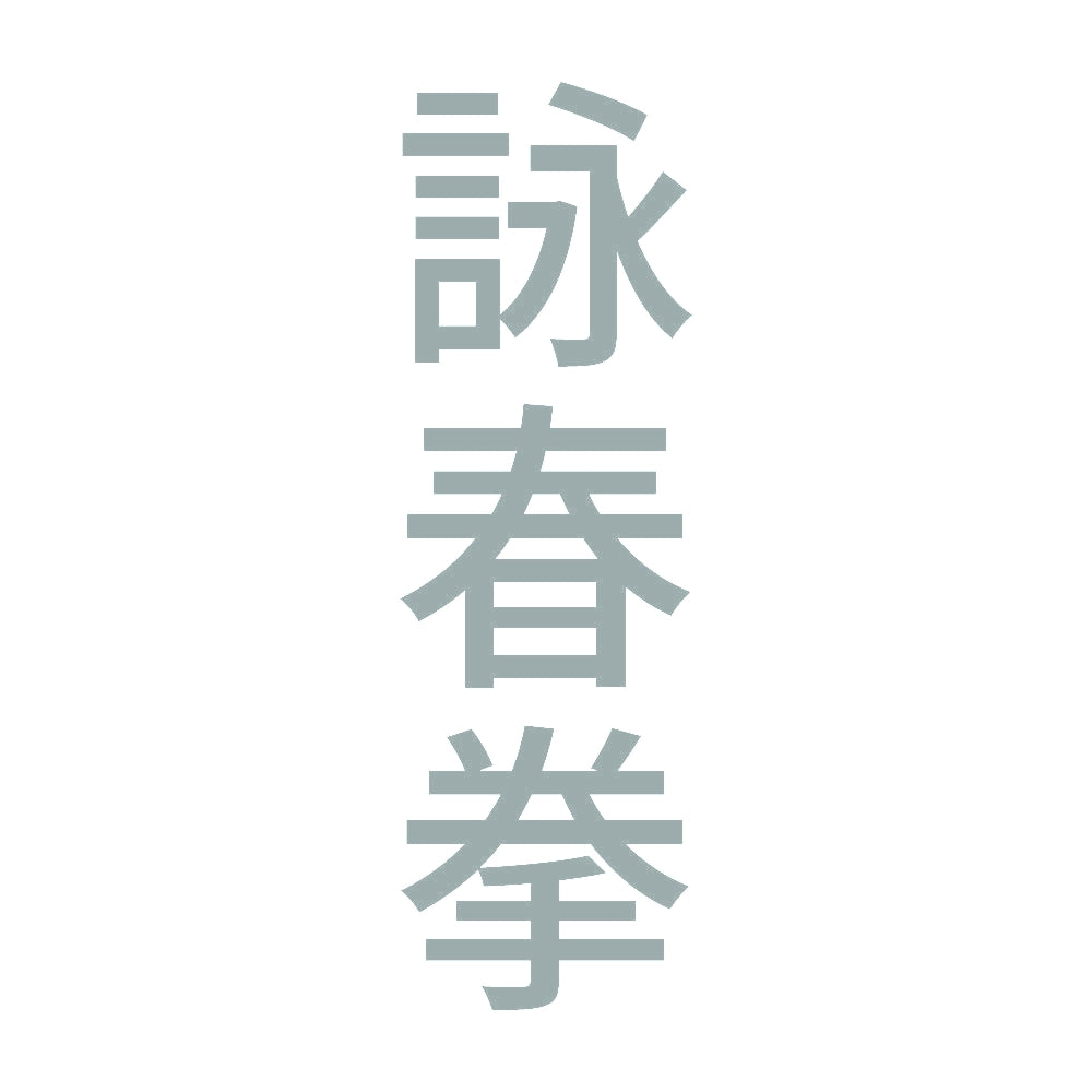 詠春拳 縦