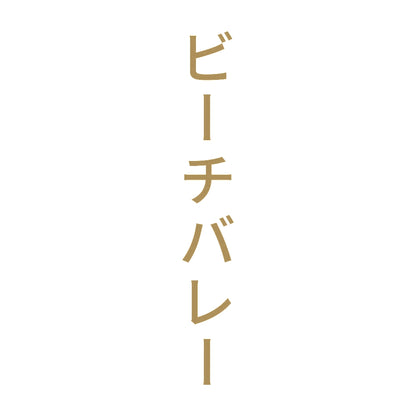 ビーチバレー 縦