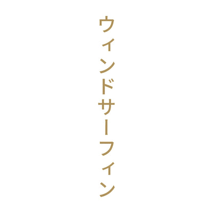 ウィンドサーフィン 縦