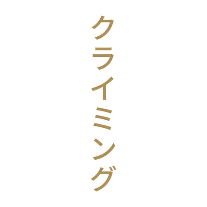 クライミング 縦