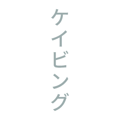 ケイビング 縦