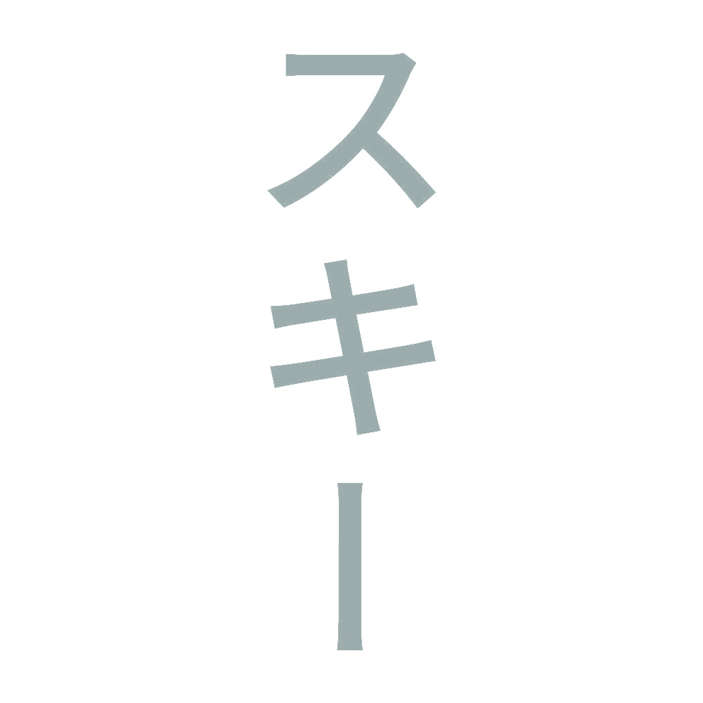 スキー 縦