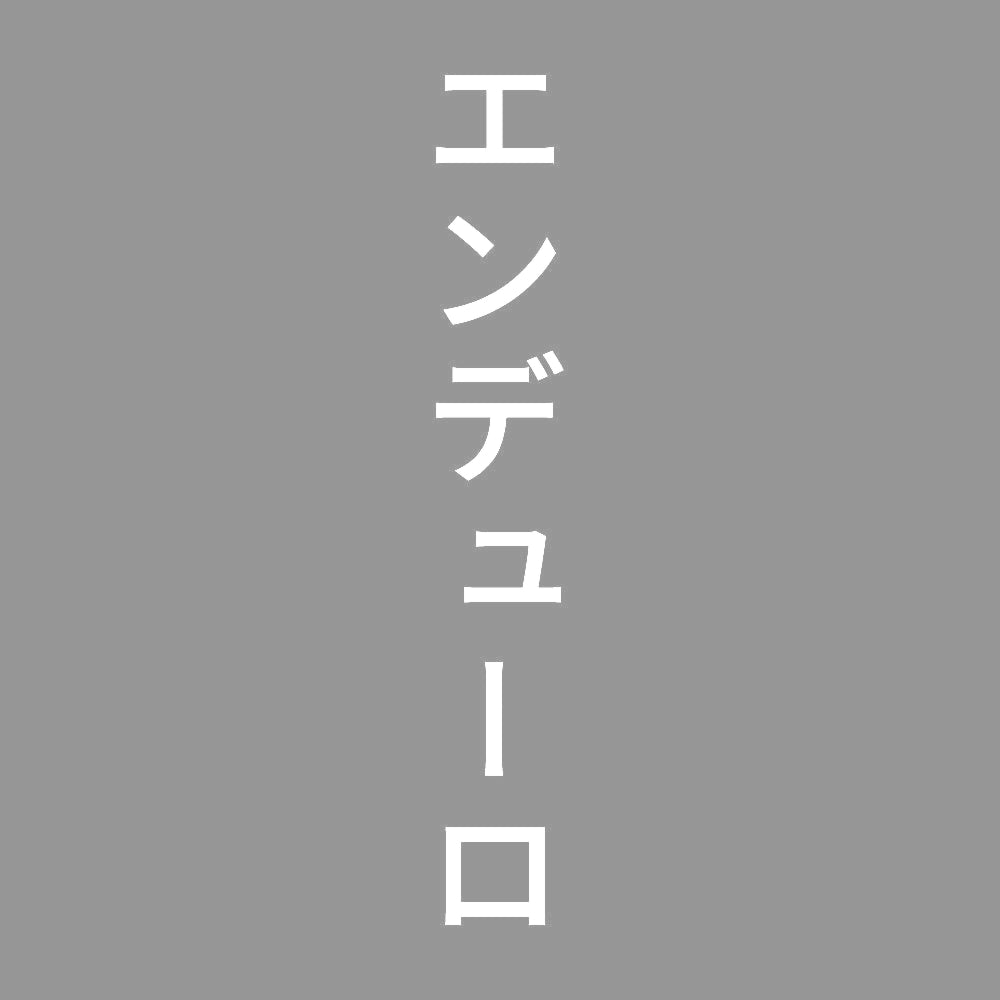 エンデューロ 縦
