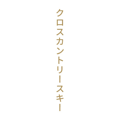 クロスカントリースキー 縦