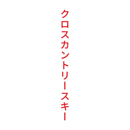 クロスカントリースキー 縦