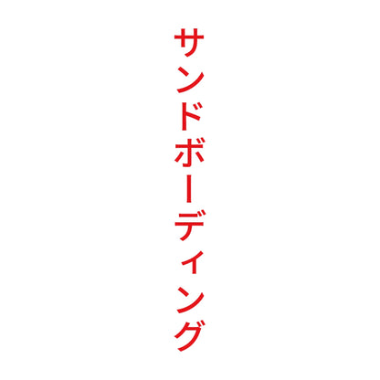 サンドボーディング 縦