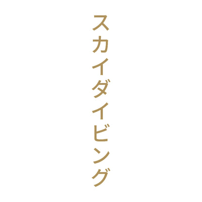 スカイダイビング 縦