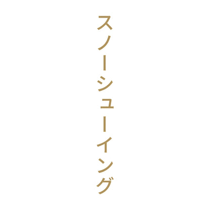 スノーシューイング 縦