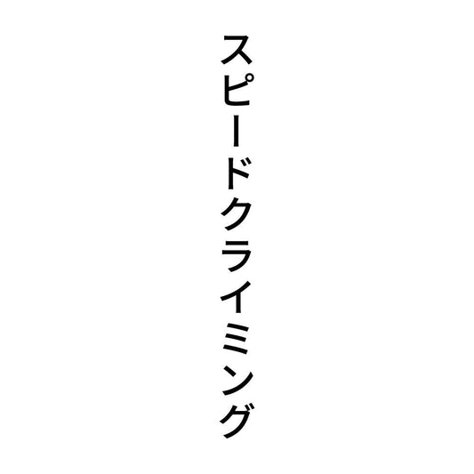 スピードクライミング 縦