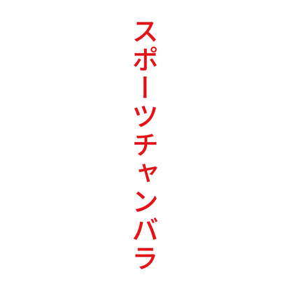 スポーツチャンバラ 縦