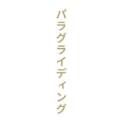 パラグライディング 縦