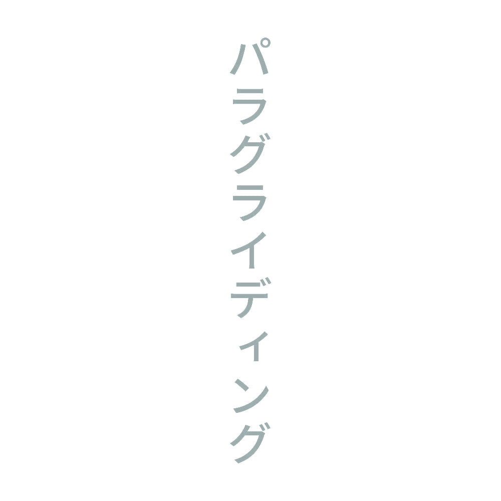 パラグライディング 縦