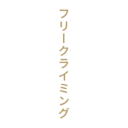 フリークライミング 縦