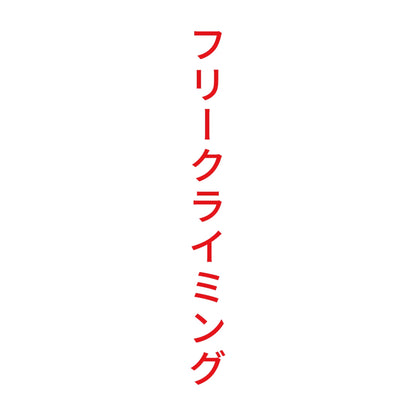 フリークライミング 縦