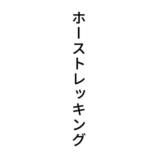 ホーストレッキング 縦