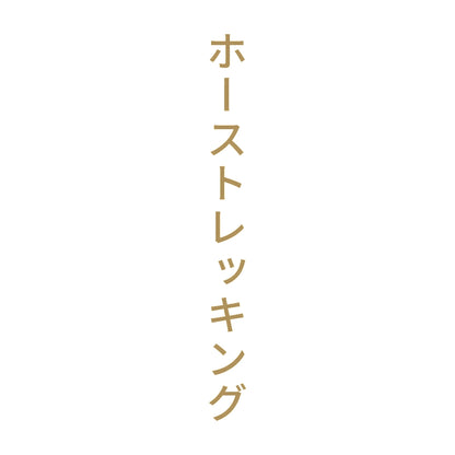 ホーストレッキング 縦