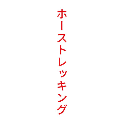 ホーストレッキング 縦