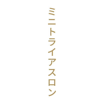 ミニトライアスロン 縦