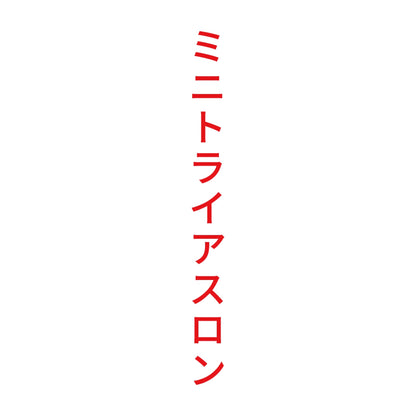 ミニトライアスロン 縦