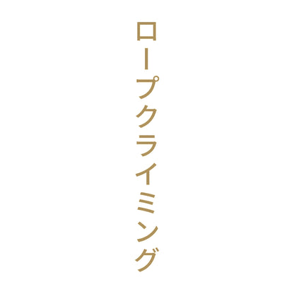 ロープクライミング 縦