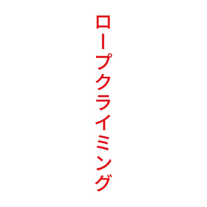 ロープクライミング 縦