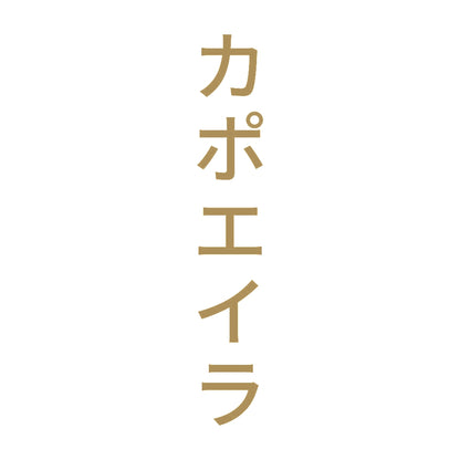 カポエイラ 縦