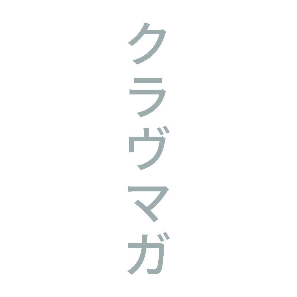 クラヴマガ 縦