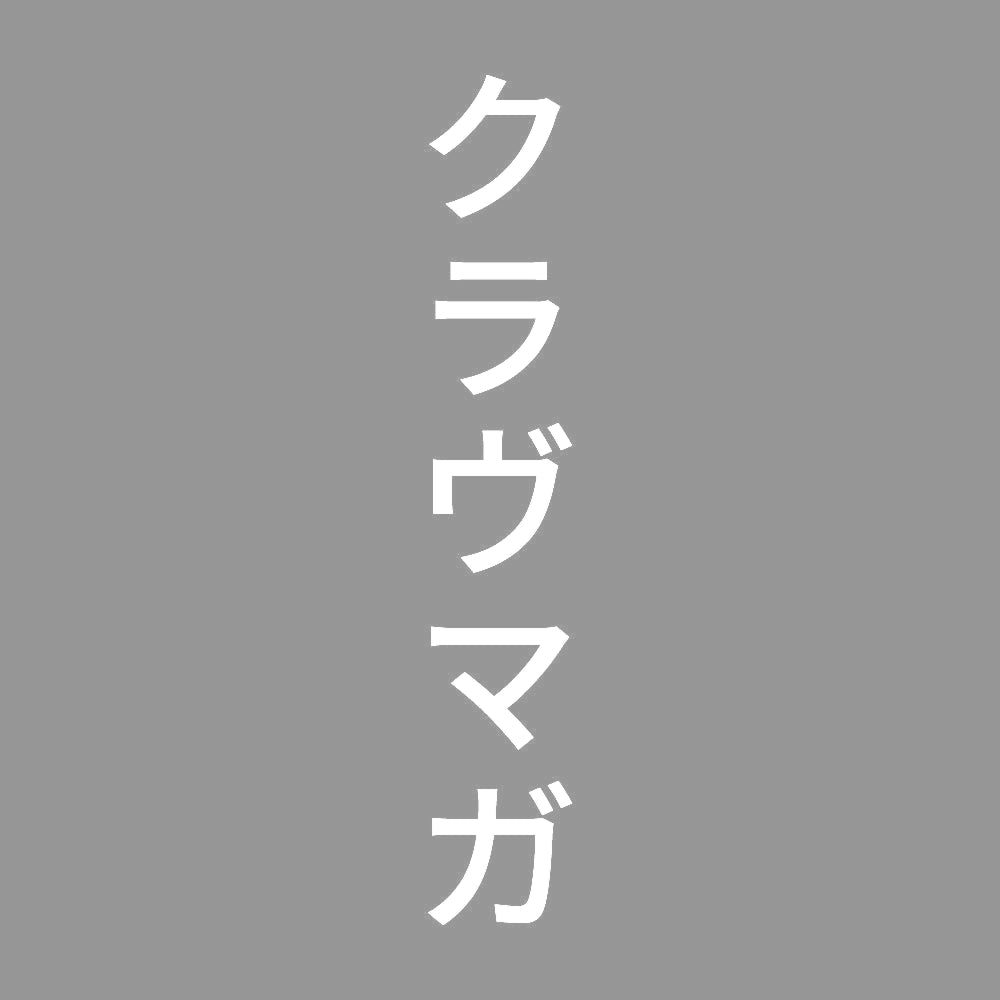 クラヴマガ 縦