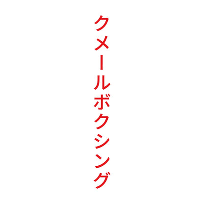 クメールボクシング 縦
