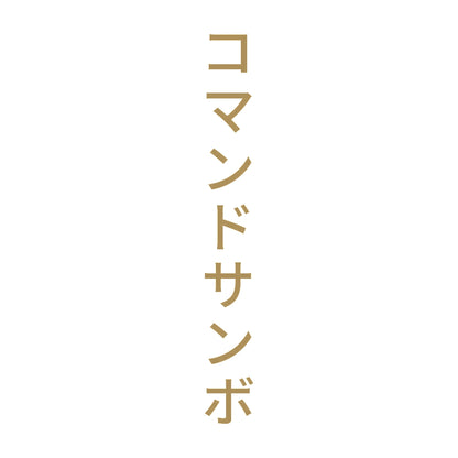 コマンドサンボ 縦
